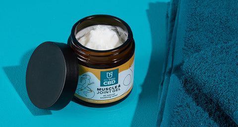 CBD for pain UK