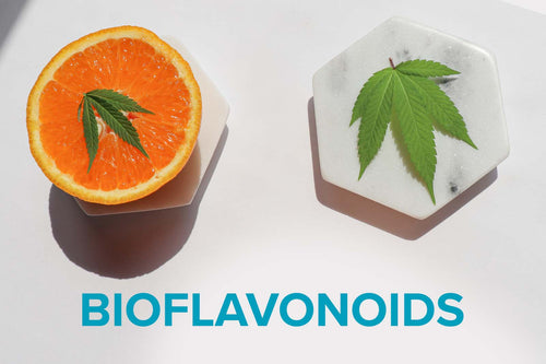 CBD Jargon Busting: What are bioflavonoids?