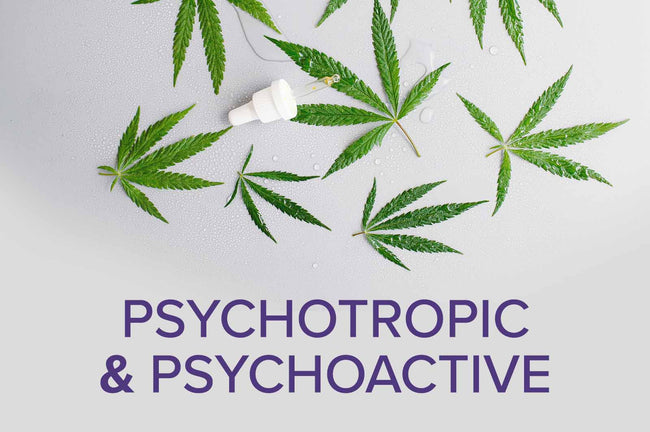 CBD and the difference between psychotropic and psychoactive
