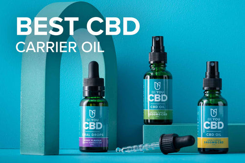 Which CBD carrier oil is the best?