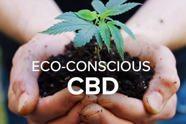 Eco-Conscious CBD and You